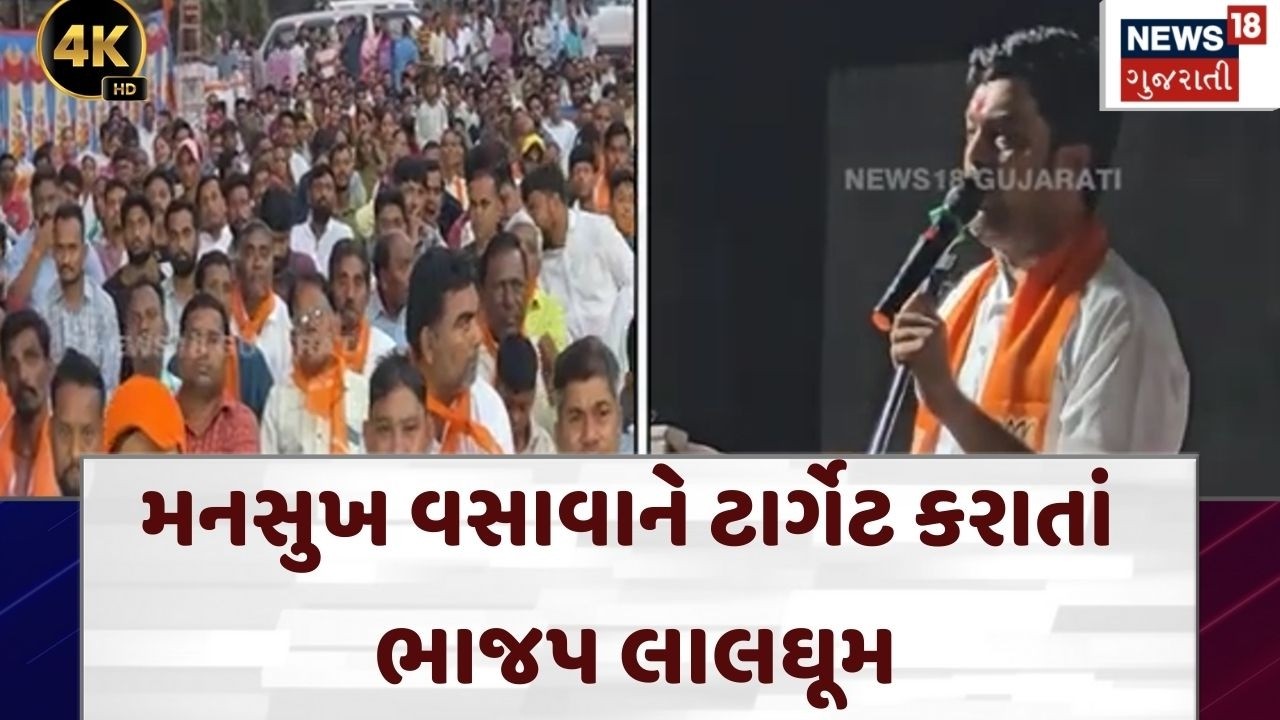 Narmada BJP | 'પીળાપટ્ટા'વાળા પર પ્રહાર, મનસુખભાઈને ટાર્ગેટ કરાતાં ભાજપ લાલઘૂમ | Politics | N18V