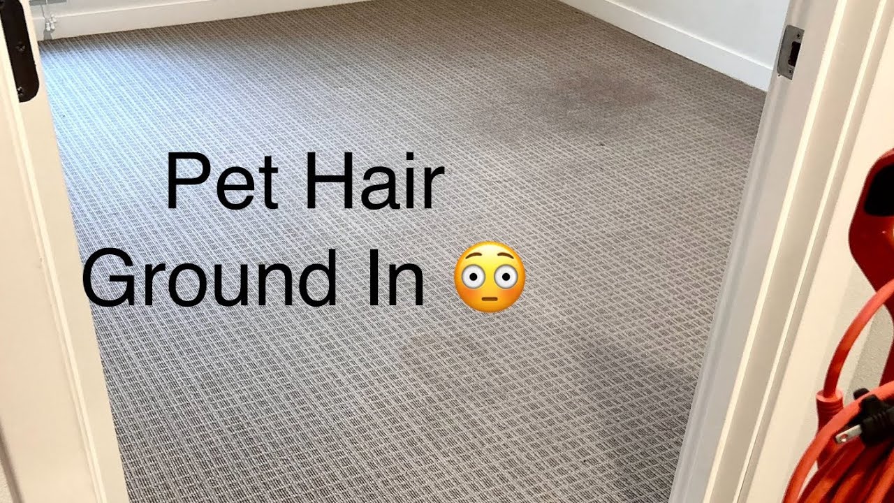 Oreck Orbiter Simple Deep Carpet Cleaning