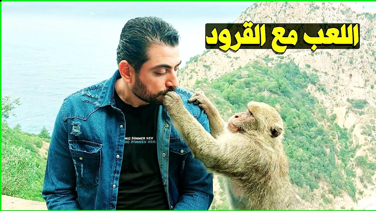 لعبنا مع 