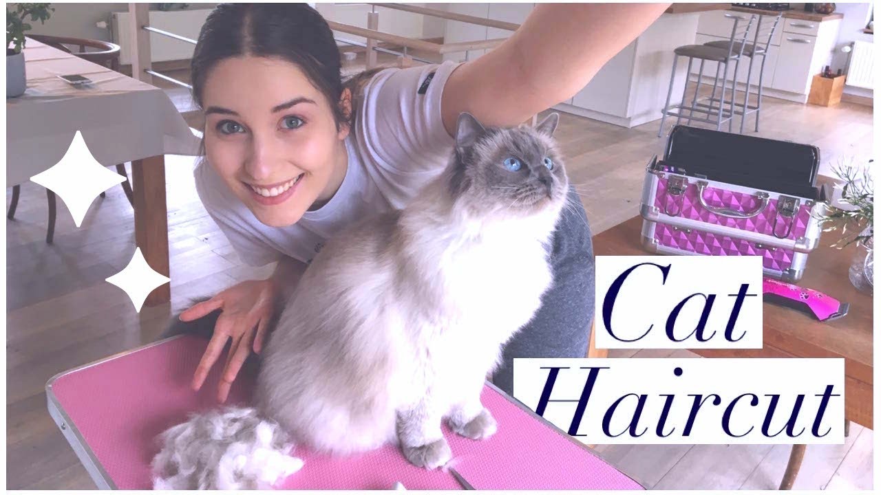 My CAT gets a HAIRCUT ✧ For the FIRST TIME!