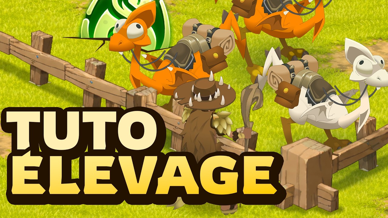 Comprendre l'ÉLEVAGE sur DOFUS de A à Z