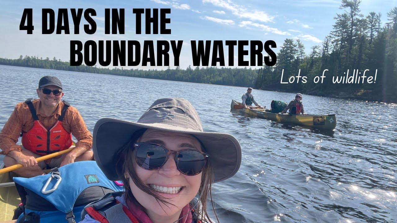Beavers and Birds - Four Days in the Boundary Waters / BWCA Little Indian Sioux 14 to Moose River 16