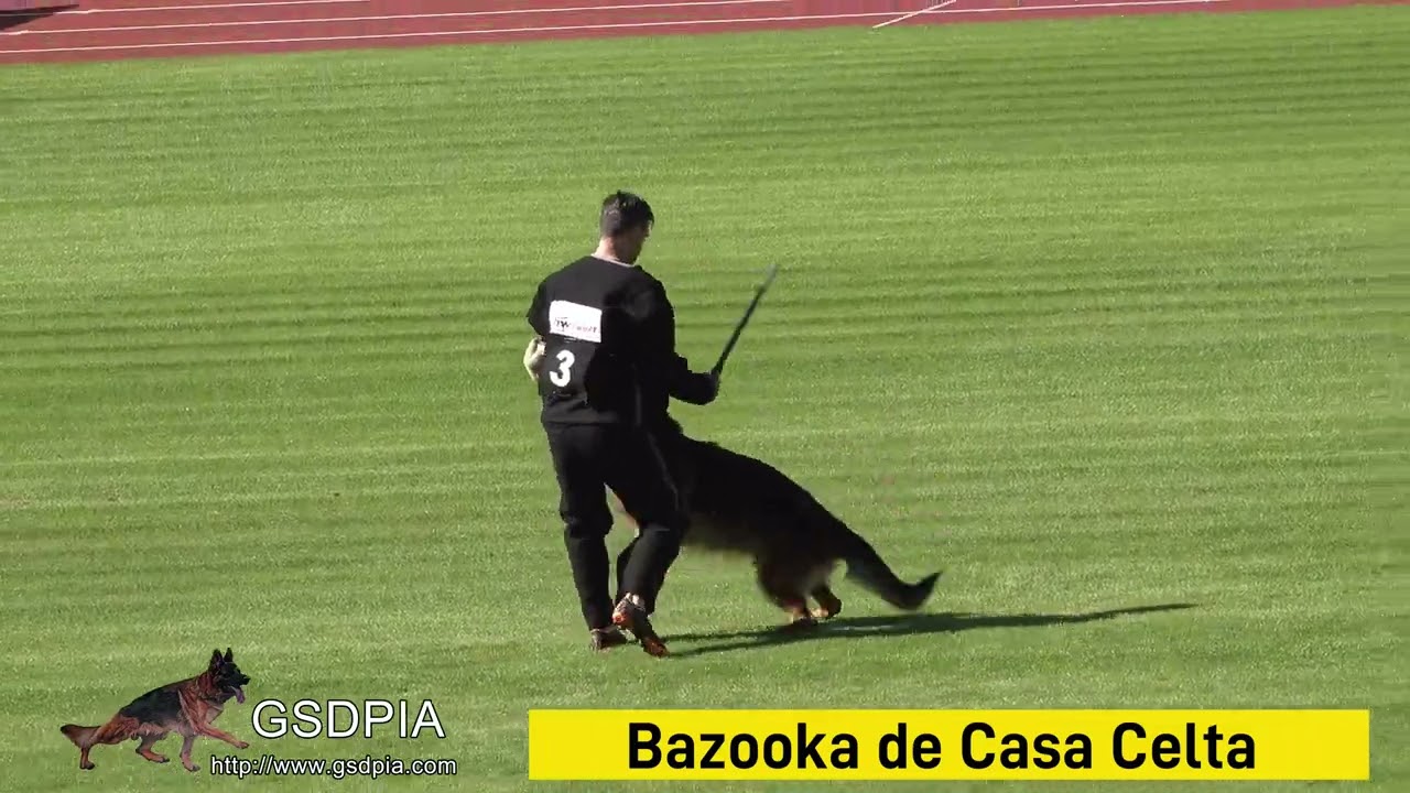 Bazooka de Casa Celta