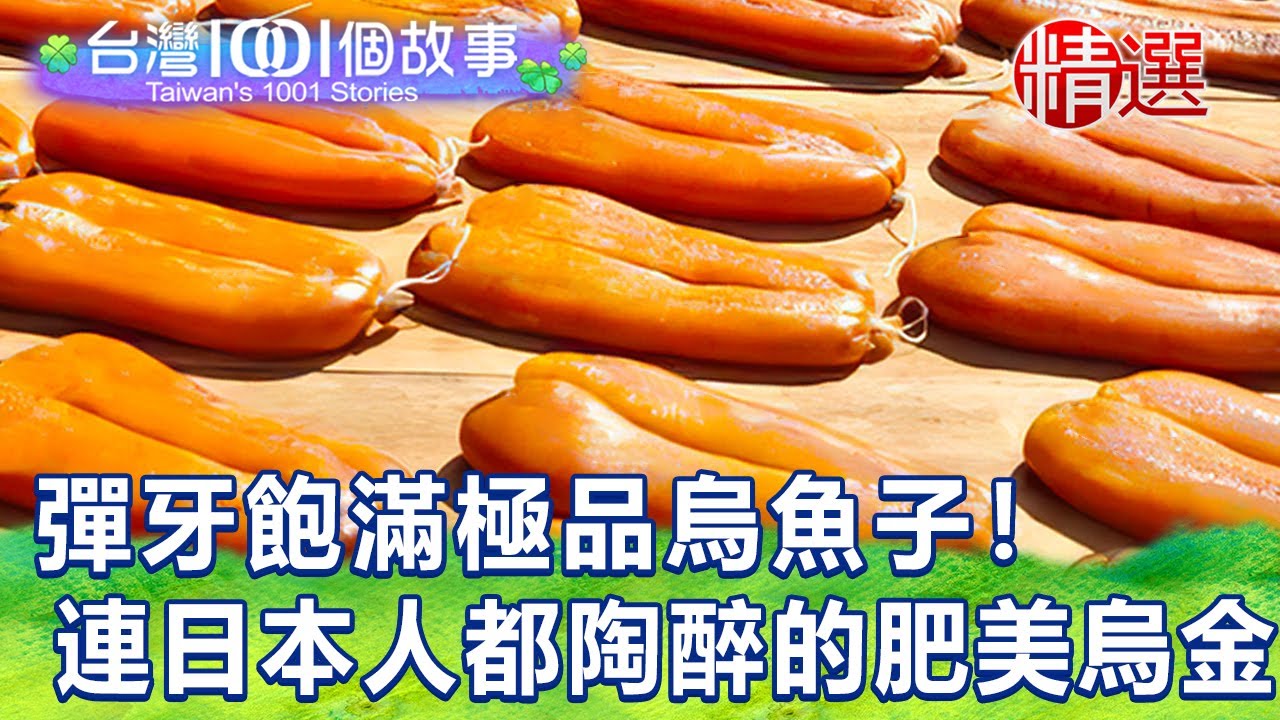 【台灣1001個故事 精選】彈牙飽滿極品烏魚子からすみ！連日本人都陶醉的肥美烏金 高粱火烤年節就愛這味｜白心儀 Taiwan 1001 story