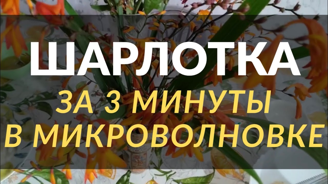 Шарлотка за 3 минуты в микроволновке. Быстрый и простой рецепт яблочного пирога на скорую руку 