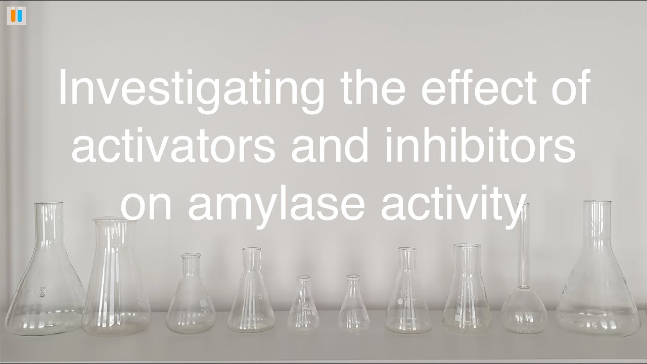 3.5 Investigating the effect of activators and inhibitors on amylase activity
