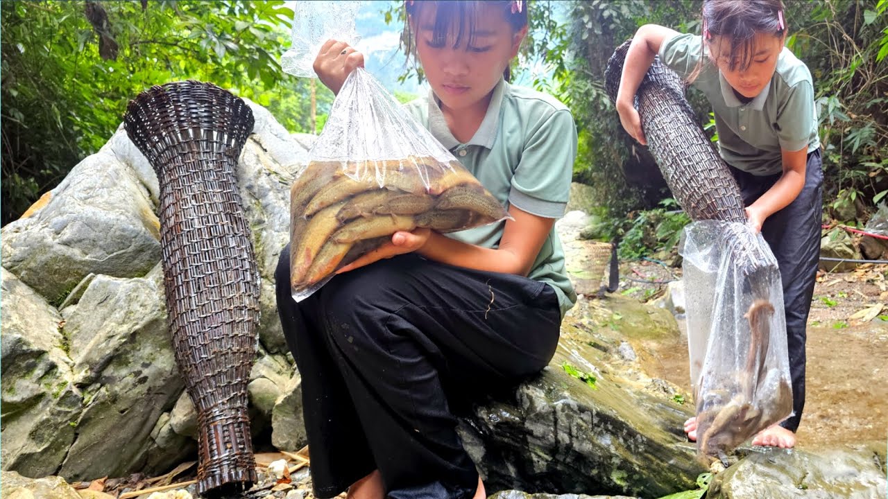 The highland girl caught many loach fish using the traditional fishing method of the highland people