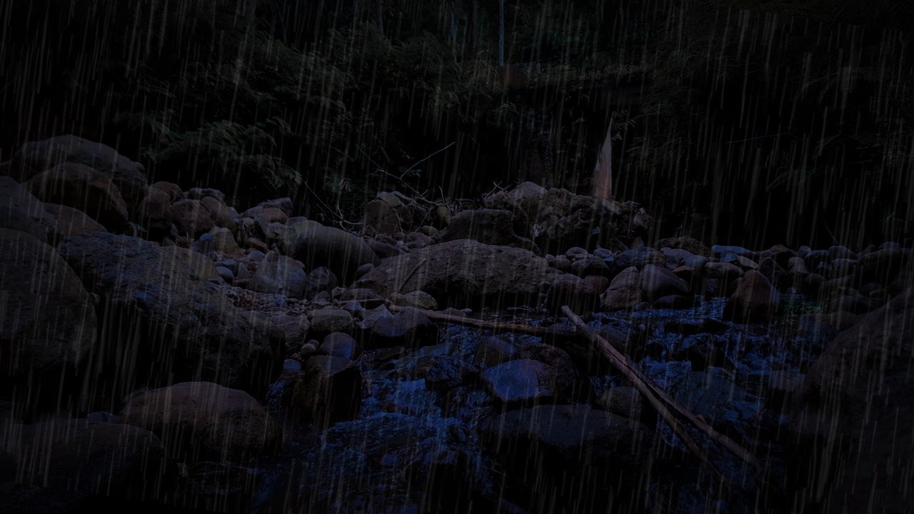 Dimmed Screen Rain Sounds 🌧️  Rainforest Ambience | Asleep Faster