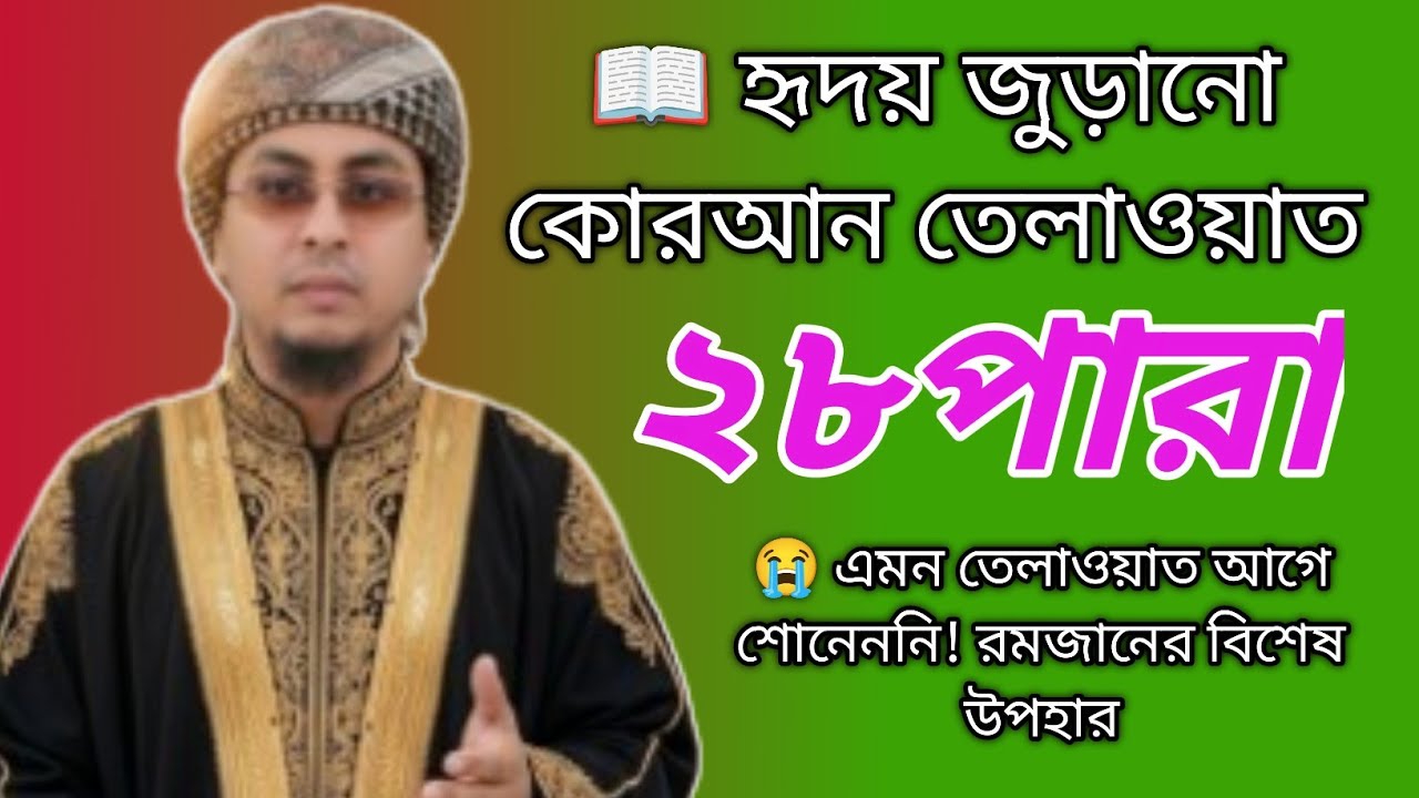 এত সুন্দর তেলাওয়াত আগে শোনেননি! | মন ছুঁয়ে যাবে 💔এই তেলাওয়াত শুনে জীবন বদলে যাবে ইনশাআল্লাহ