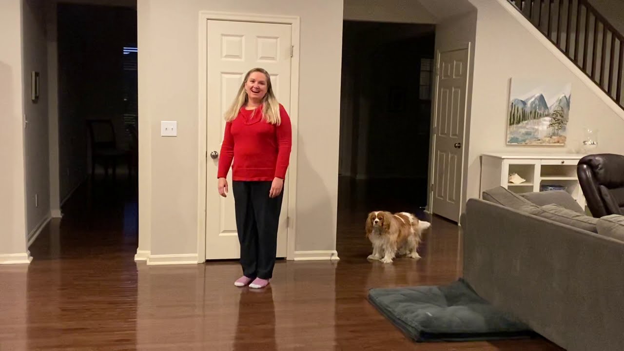 Dog Example for Understanding the role of Environmental Cues