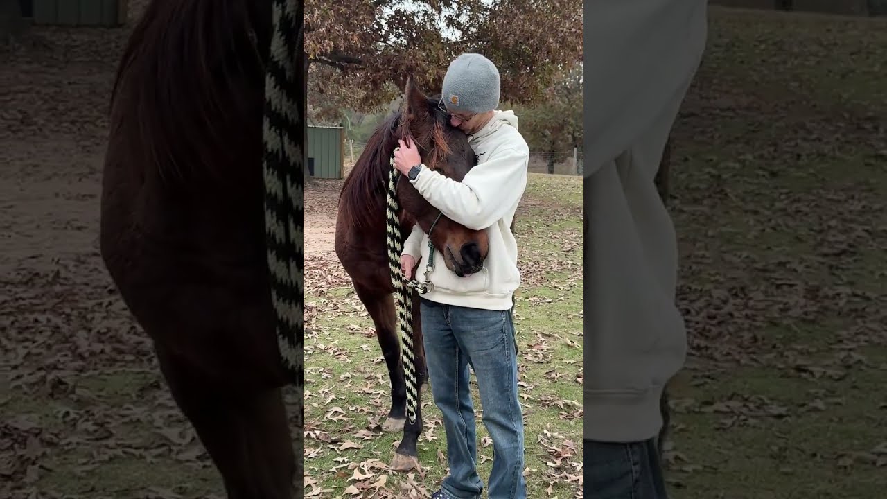 Ep 3 - Training and desensitizing our baby horse Mako