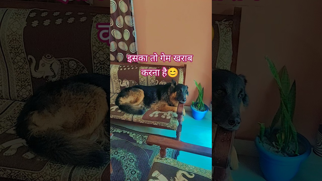 इसका तो गेम खराब करने है😊 