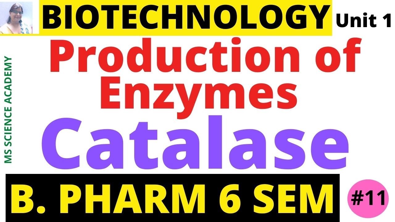 Catalase-Production of Enzymes-Biotechnology-Unit 1- B. Pharmacy 6 Sem-Lect.11