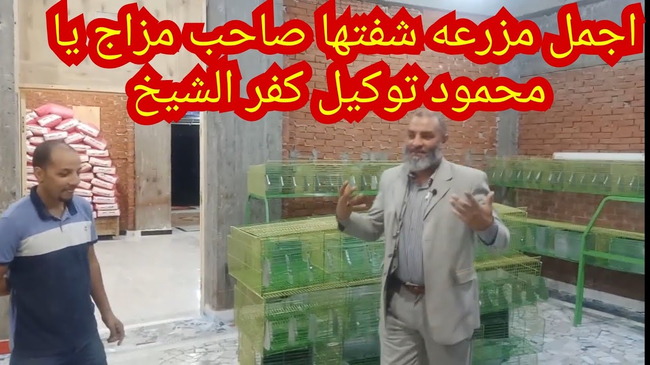 ٣ بيكسبوا من الارانب هم مين مزرعه تحفه كل حاجه معموله بمزاج