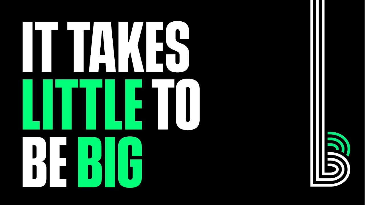 Big Brothers Big Sisters 