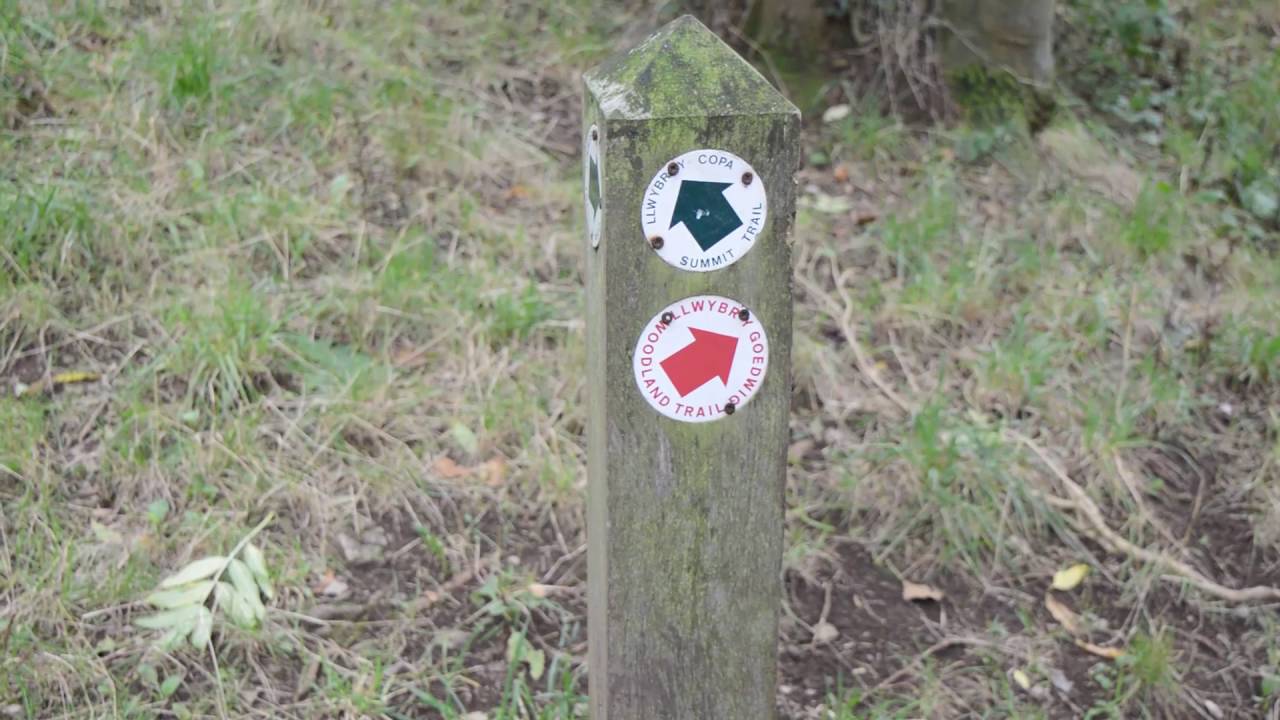Walking & Waffling; Bryn Euryn Walk, Conwy, Wales and the ruins of Llys Euryn