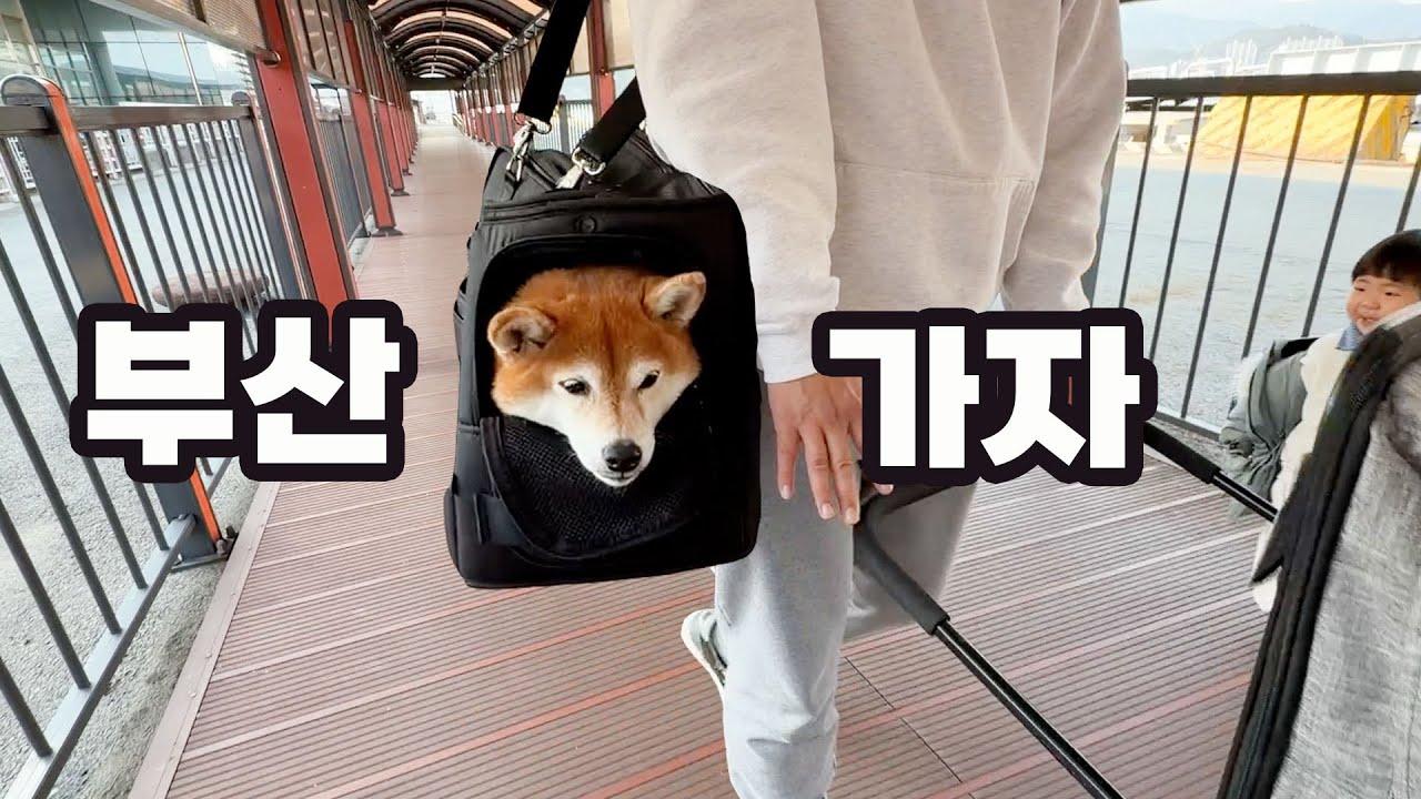 배타고 부산으로 떠나요