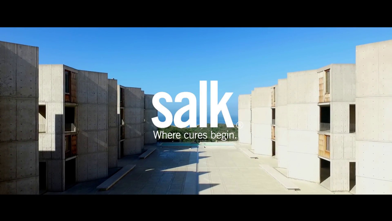 Salk architecture - the grove