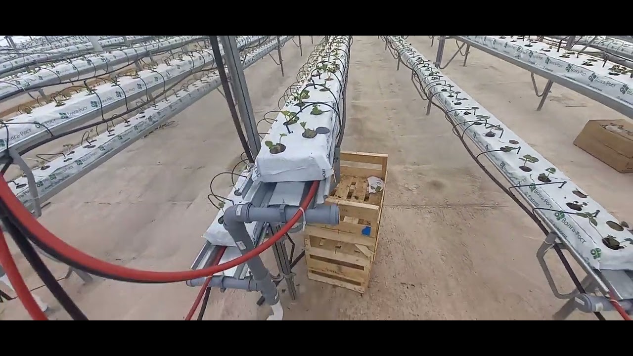 Газовая котельная и новая теплица 1000 кв.м.