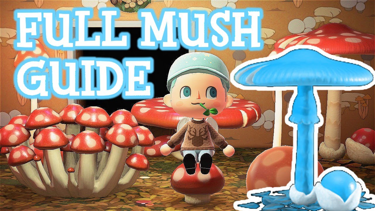 FULL Mush Guide | Animal Crossing New Horizons