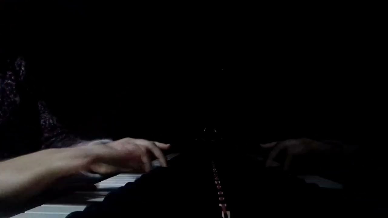 Ангеліна Левон 17 білет 