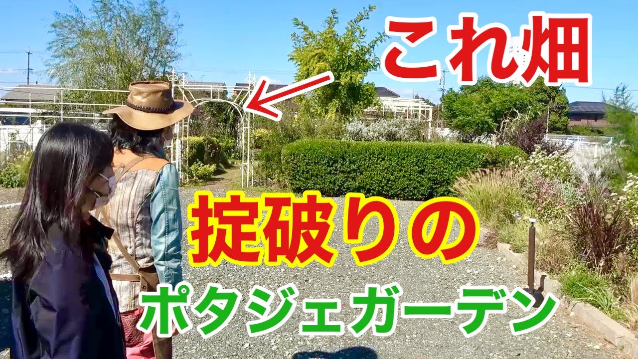 こんな畑見たことない！新感覚ポタジェガーデン　個人庭　【カーメン君】【園芸】【ガーデニング】【初心者】【内田さん】