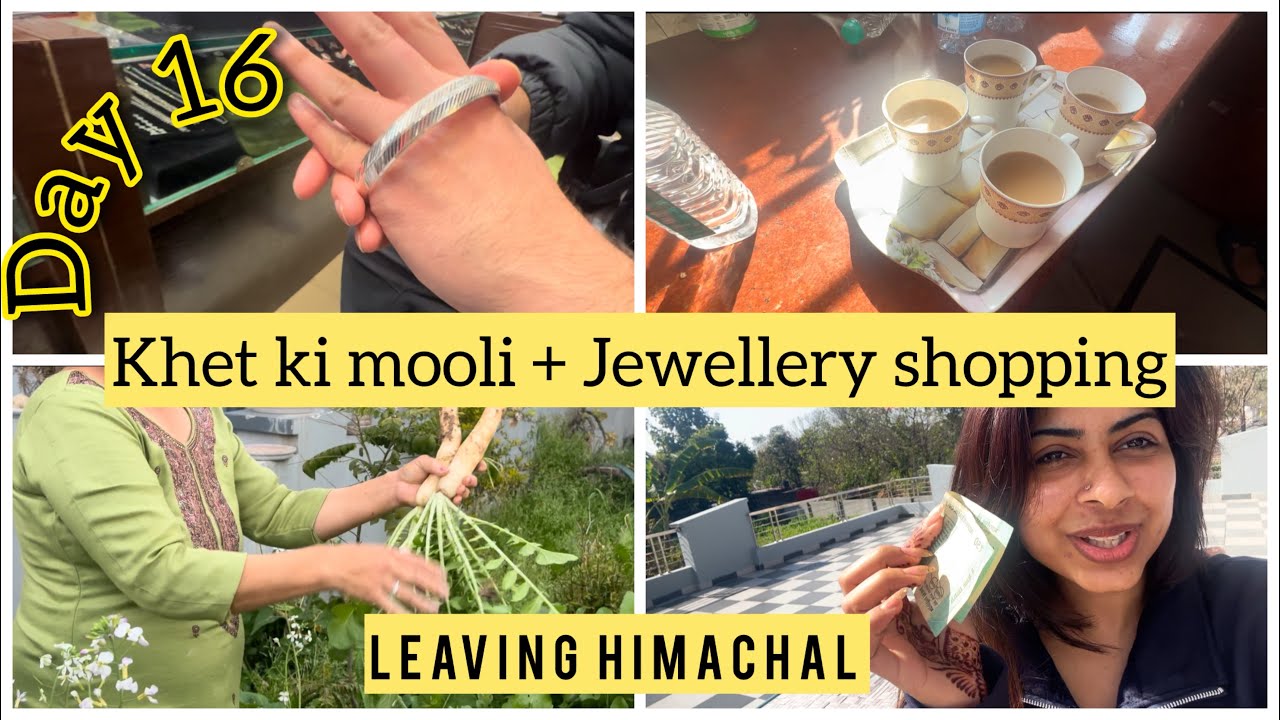 Day 16 of 30 days vlogs// Leaving Himachal + khet ki fresh mooli khai + jewellery lene market gye