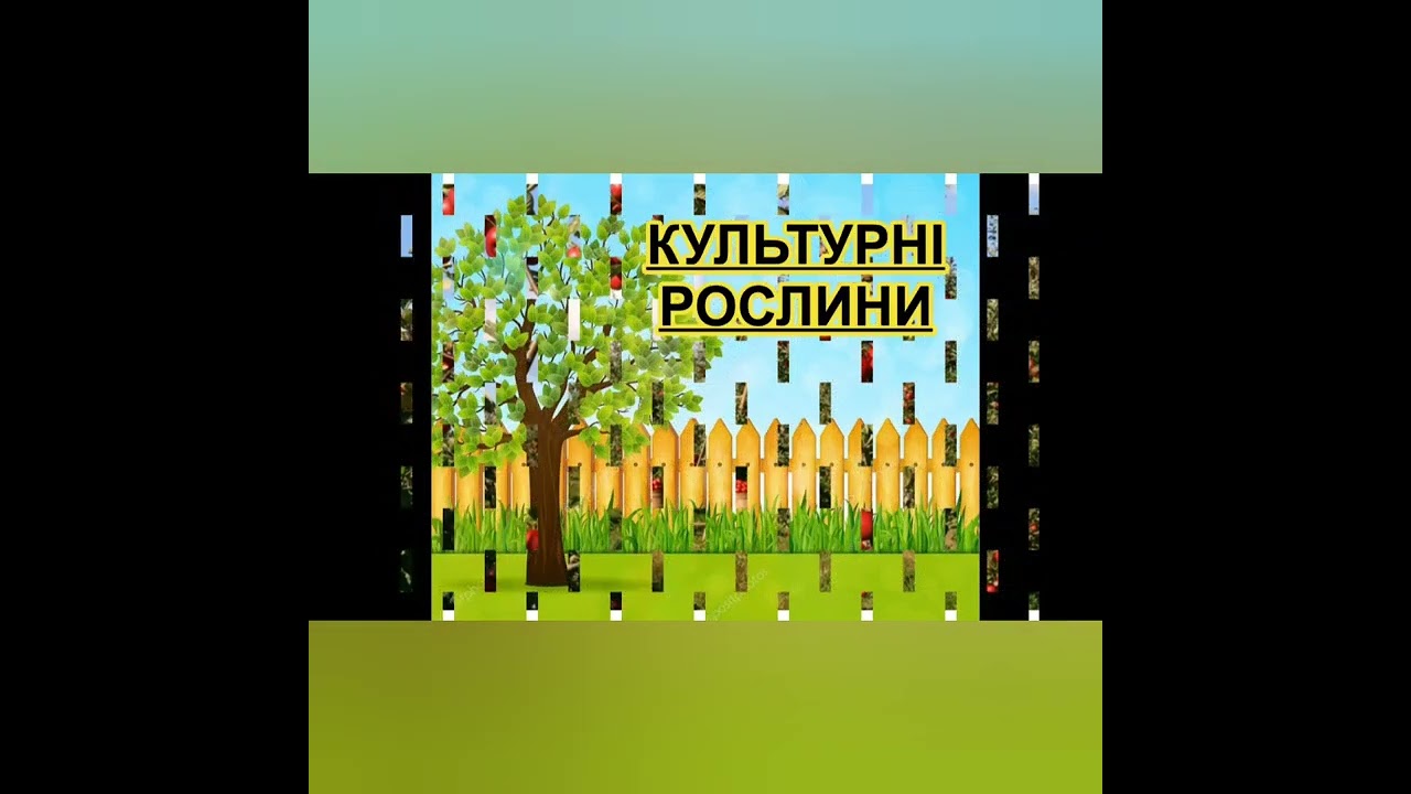 Тема заняття ,,Дикорослі та культурні рослини,,