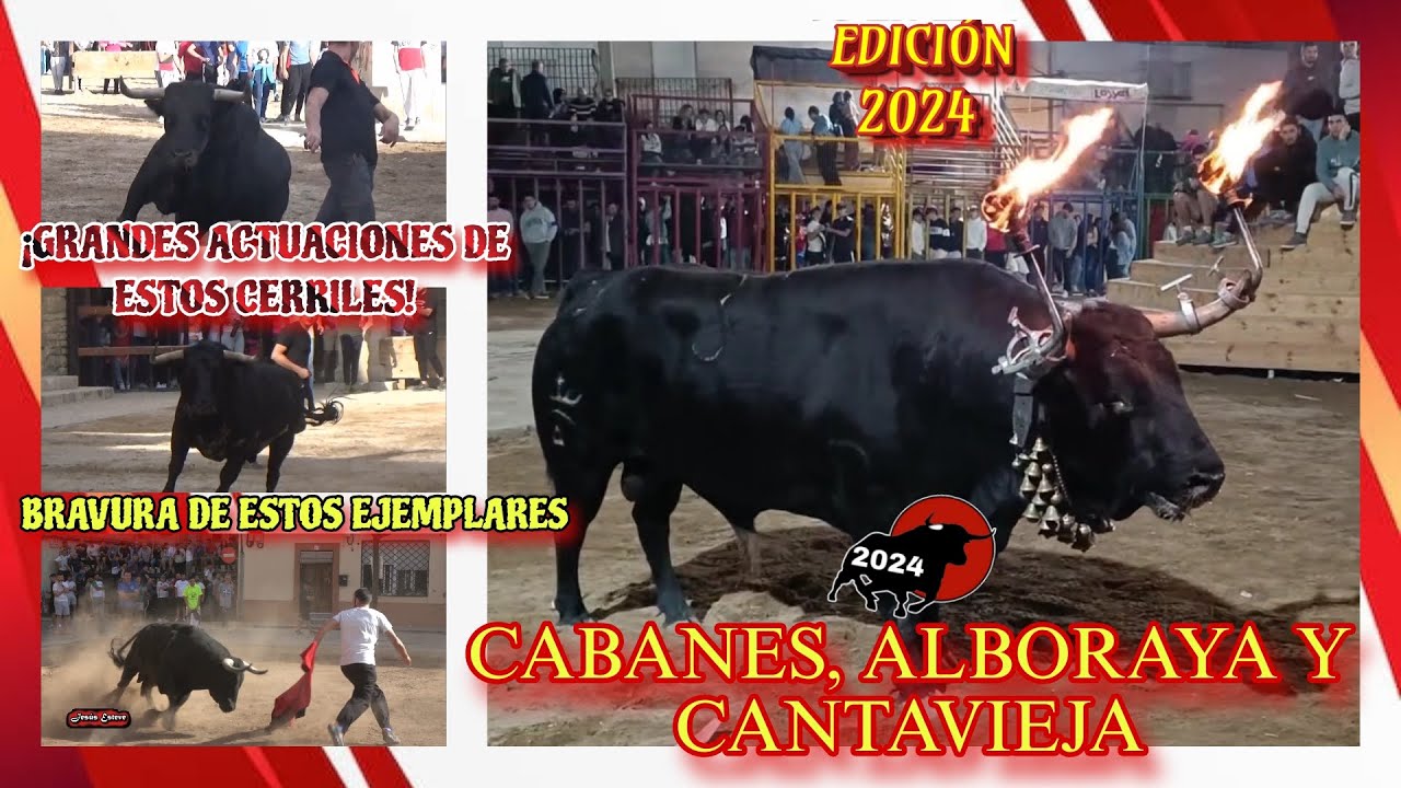 CABANES, ALBORAYA Y CANTAVIEJA - EDICIÓN 2024
