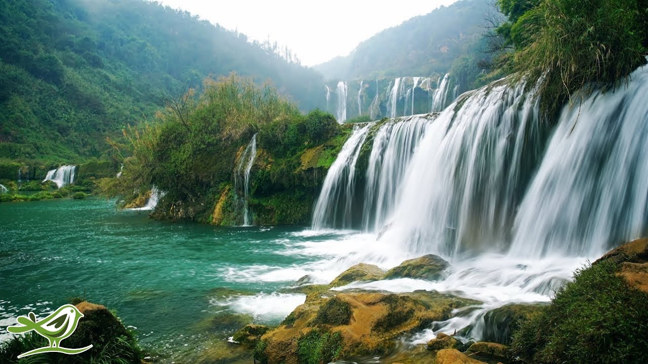 Beautiful Bansuri Flute & Cello Music with Guitar & Piano Accompaniment