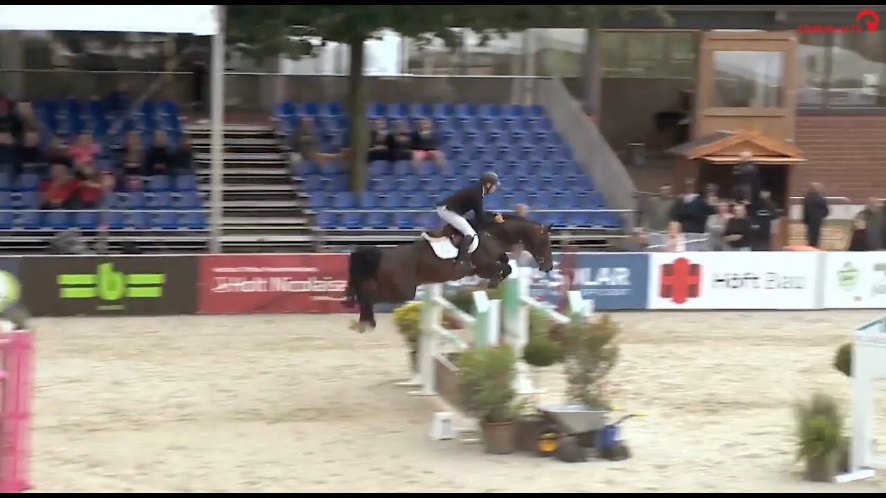 Charaktervoll v. Comme il faut und R.G. Bengtsson – Platz 9 im Youngster S