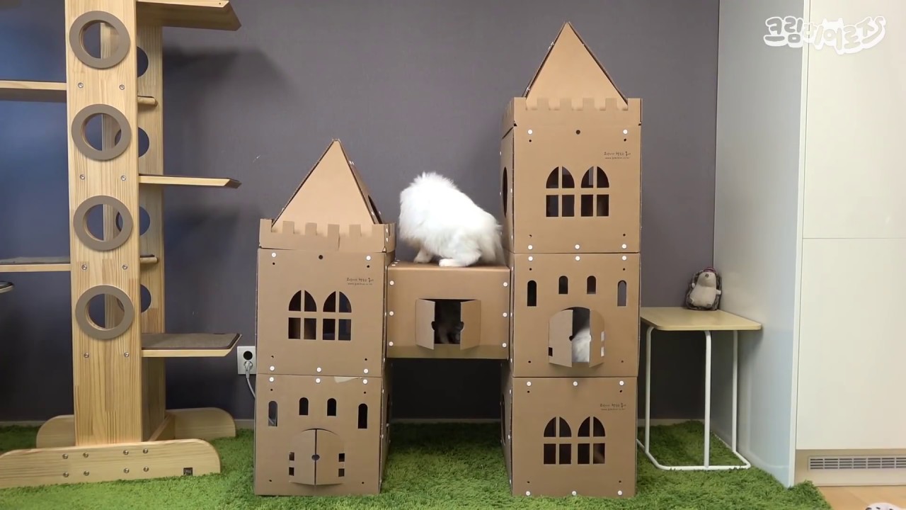 고양이 성을 조립했어요