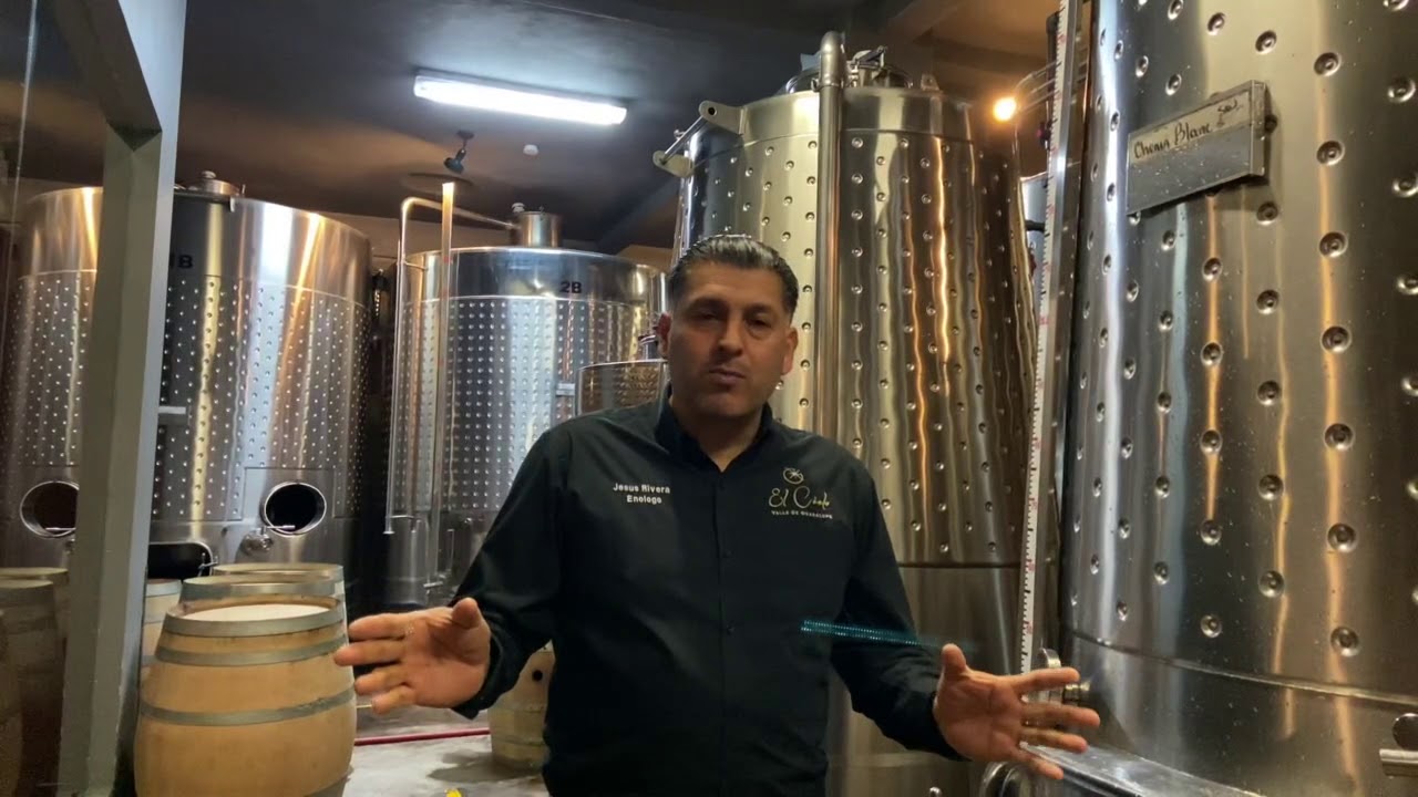 🍇 Fermentación Maloláctica: Los vinos los hace Jesús Rivera