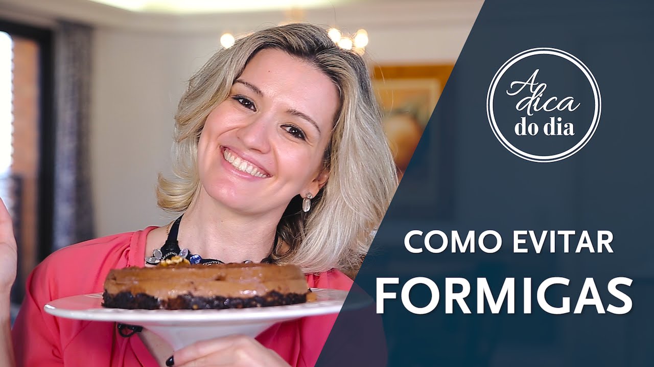 COMO EVITAR FORMIGAS | A DICA DO DIA COM FL&Aacute;VIA FERRARI