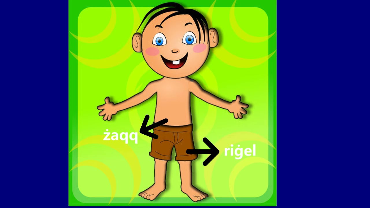 Nitgħallmu l-Malti - Learning Maltese; Il-Partijiet tal-Ġisem - Body Parts