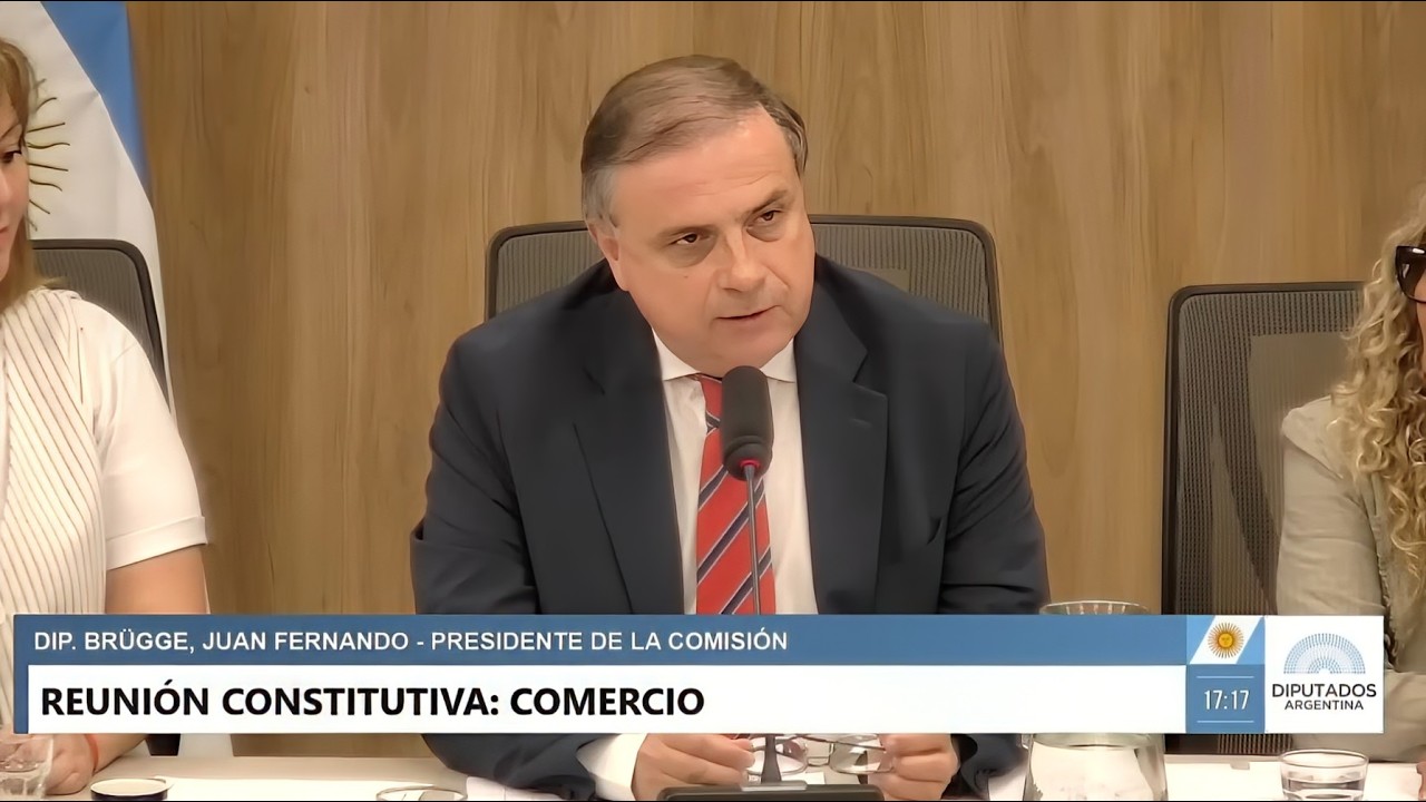 COMISIÓN COMPLETA: COMERCIO - 17 de marzo de 2026 - CONSTITUTIVA - Diputados Argentina
