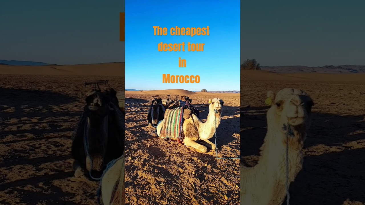 The Cheapest Tour to Zagora Desert from Marrakech