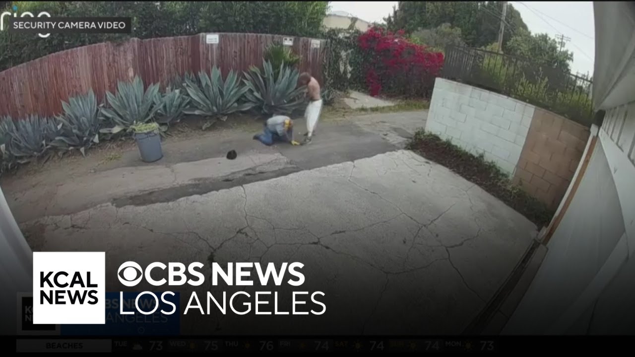 Gardener attacked while working outside of West Los Angeles homes