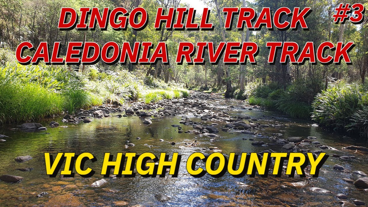 DINGO HILL TRACK | CALEDONIA RIVER TRACK - SOLO CAMPING | VICTORIAN HIGH COUNTRY 4X4 | 4X4 AUSTRALIA