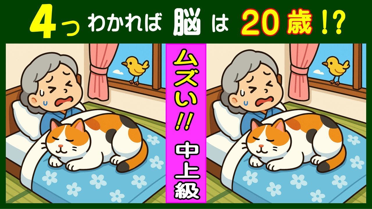 ６０代・７０代への脳トレ効果抜群！【間違い探し】  猫に乗られてウンウン唸るおばあさんのイラスト問題などが５問＋おまけ。#346