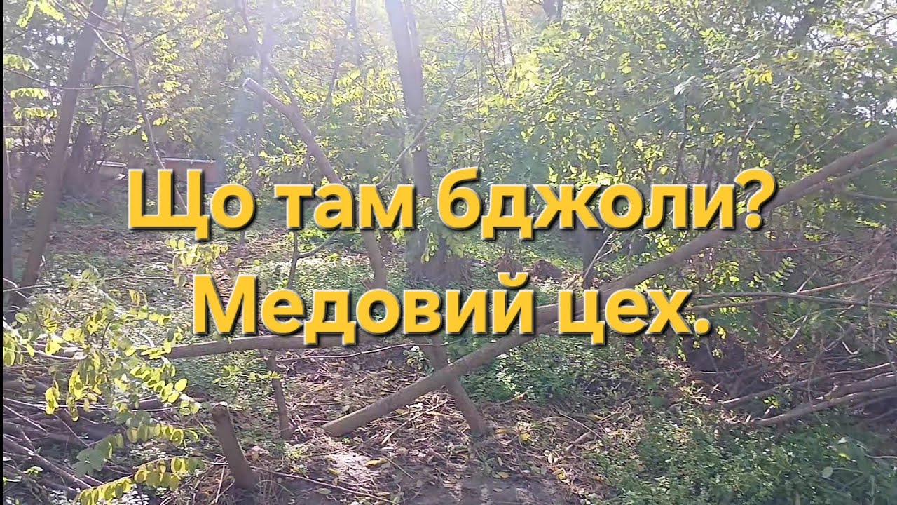 Що там бджоли? Медовий цех.