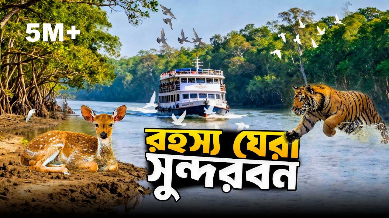 রহস্য ঘেরা ভয়ঙ্কর সুন্দরবন | Sundarban Tour Package 2025 🐅