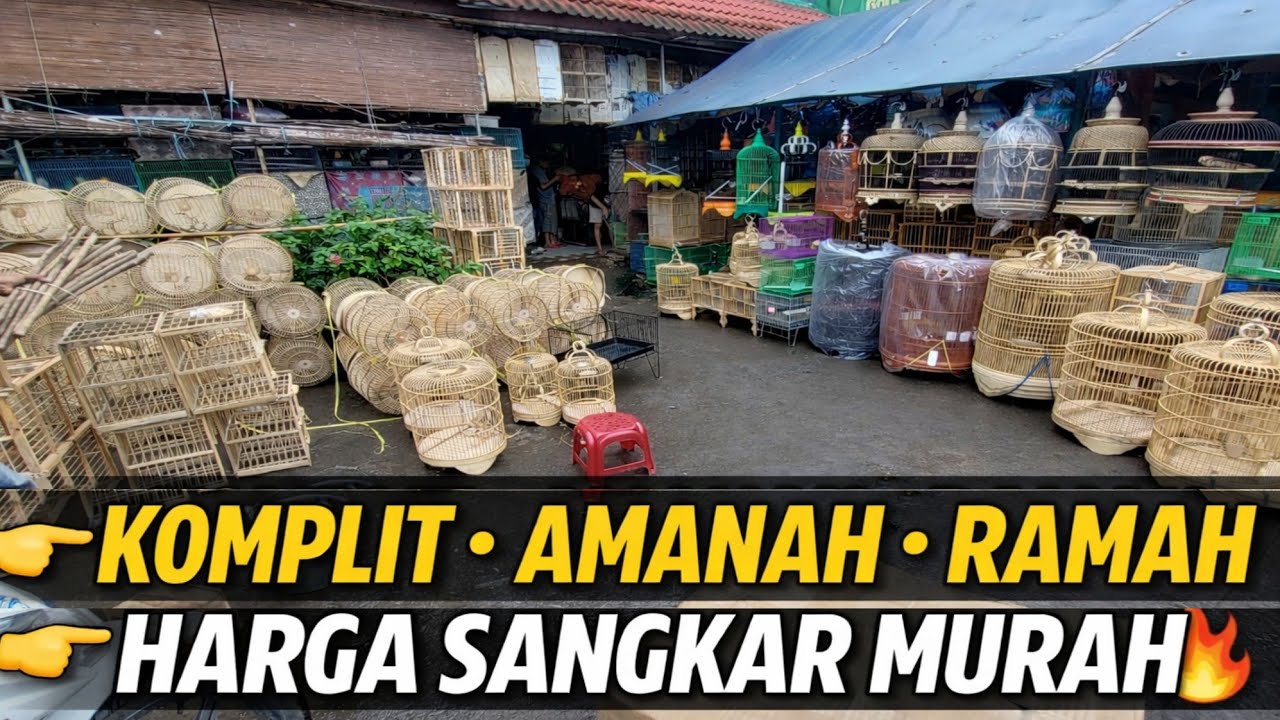 HARGA PENGHUJUNG TAHUN ‼️20RB UDAH DAPAT SANGKAR DI PASAR BURUNG PRAMUKA KIOS FORTUNA