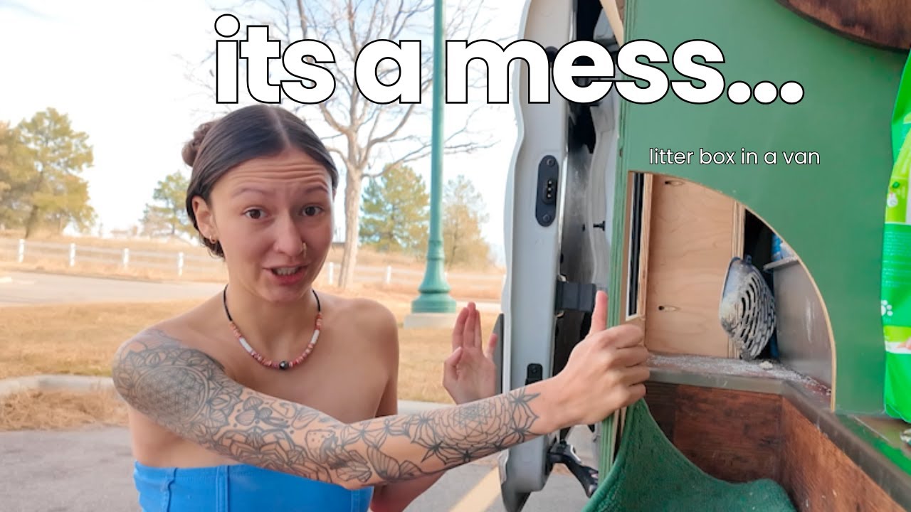 The Gross Side of Van Life Nobody Shows | Cleaning with 3 Cats