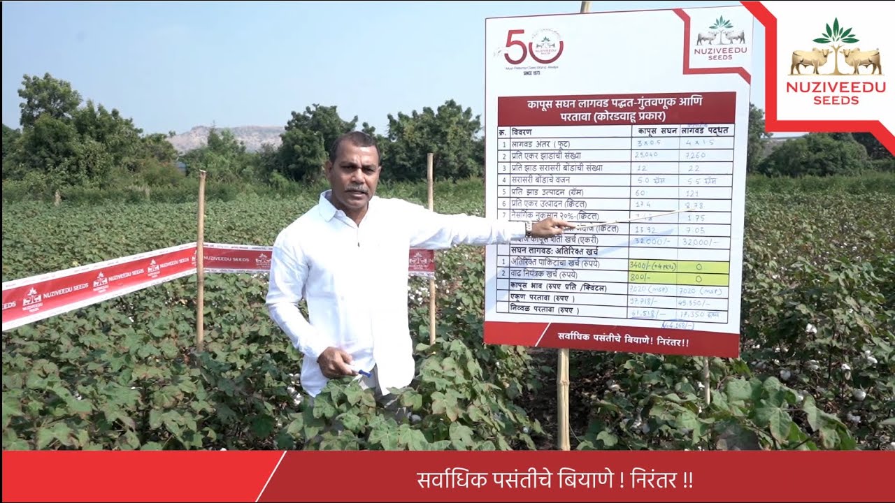 High Density Planting System in Cotton | Listen from expert the benefits of HDPS in Cotton | Marathi
