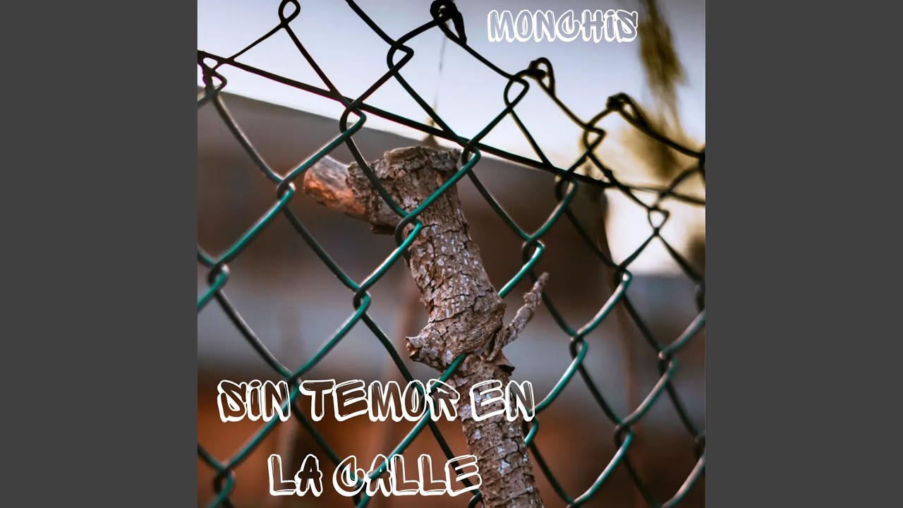 Sin Temor En La Calle