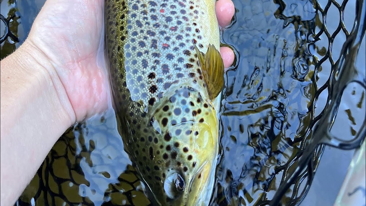 Fly Fishing New Jersey