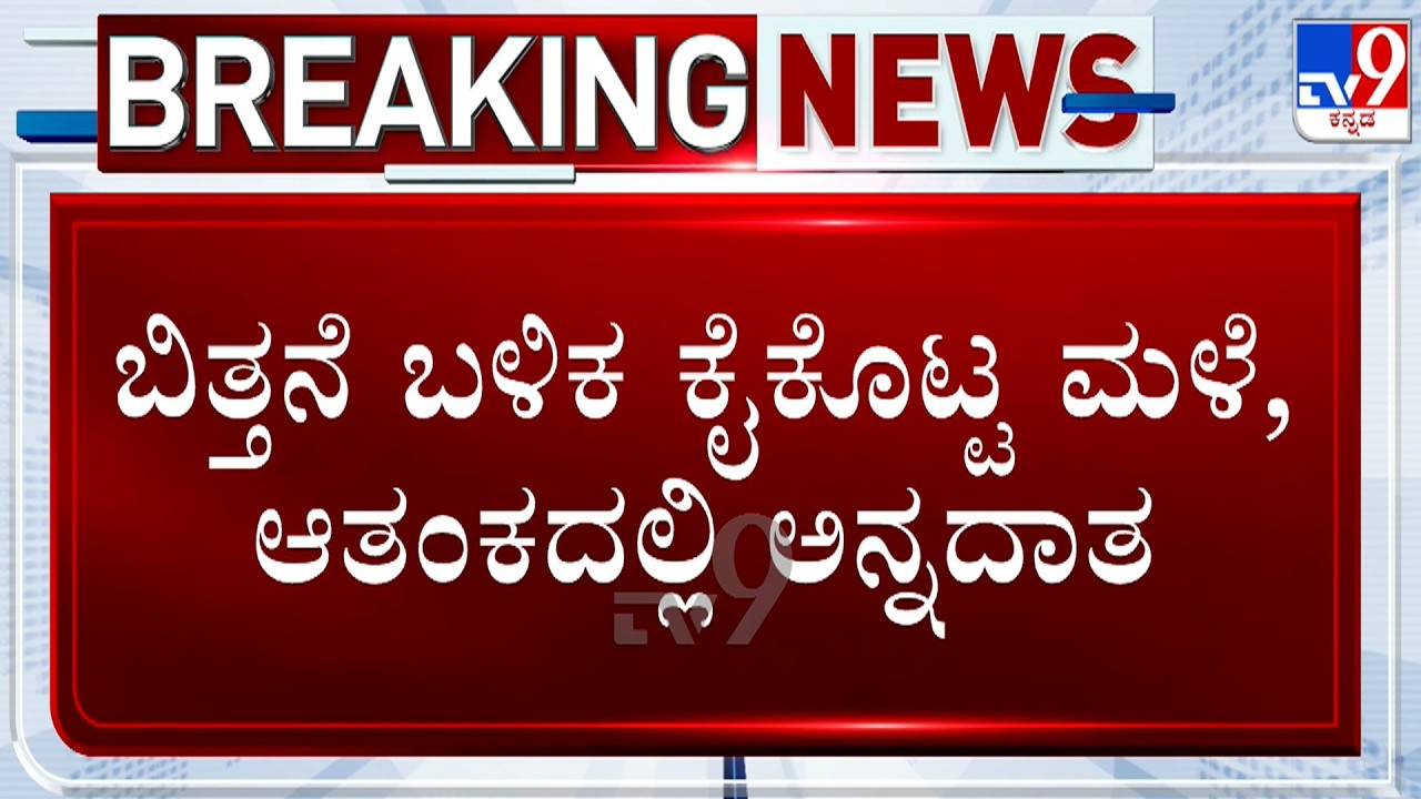 Failed Monsoon Leaves Bidar Farmers In Distress After Re-Sowing | TV9 Ground Report