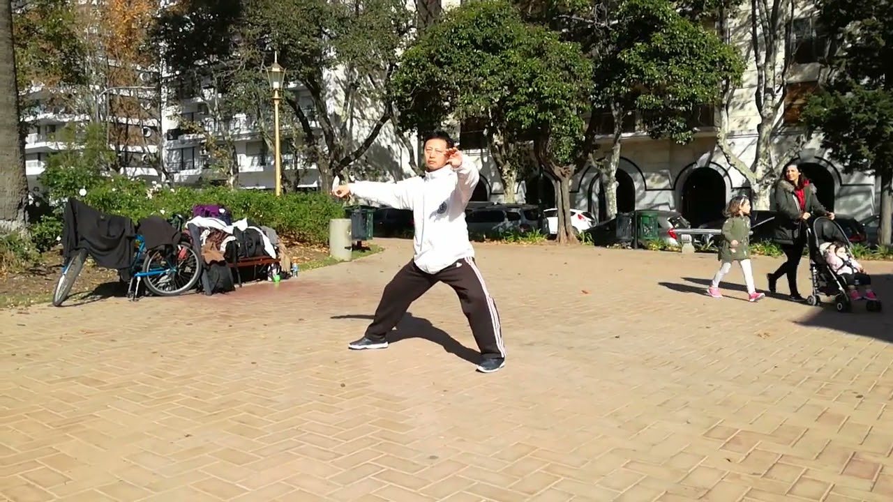 Tàijíquán Estilo Chen - Maestro Liu Ming - Lao Jia Yi Lu 28 movimientos