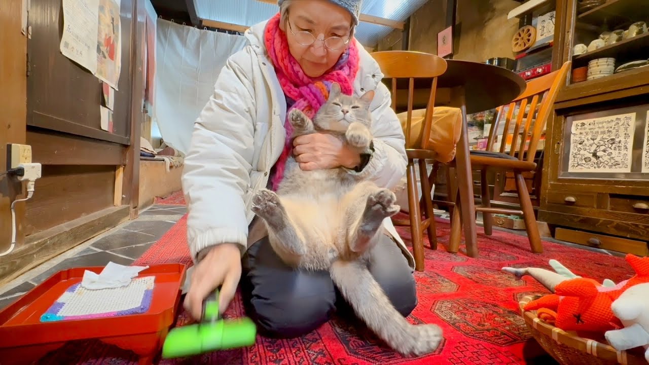 寒波到来の晴れ間お隣でゴロン..人の気配で引返し考え直してまた進み..道路でゴロンお向かいで遊び..ニャ〜と鳴いて裏から戻り..オヤツを貰った猫…【さっちゃんとおばあちゃんの散歩・1137日目】・・・